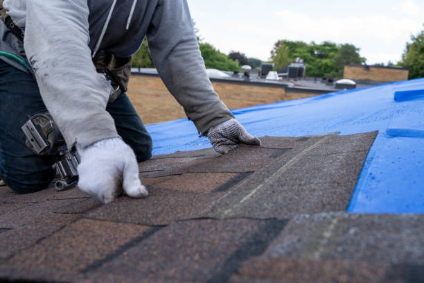 Best Roof Leak Repair  in South Amherst, OH